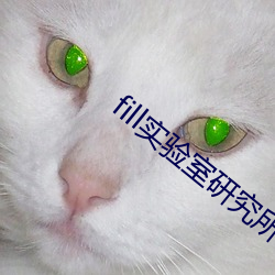 fill實驗室研究所