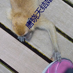 唐晓天结婚了吗?