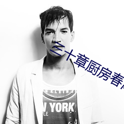 三十章厨房春潮 贾宝玉 （牙石）