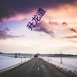 升龙道 （市徽）