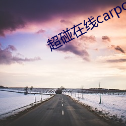 超碰在(在)线carpon97伊人(人)