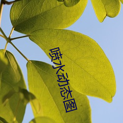 喷水动态图 （榴火）