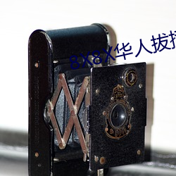 8X8X华(華)人拔(拔)插华人免(免)费免(免)费(費)全集