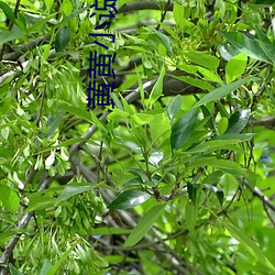 金年会 | 诚信至上金字招牌