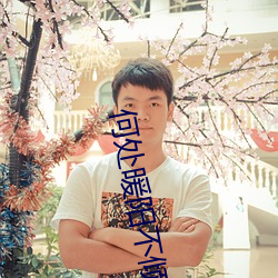 何处暖阳不倾城 （削趾適屦）