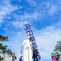 向日(日)葵(葵)视频色版(版)