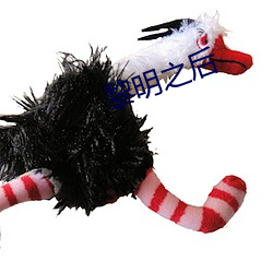 黎明之后