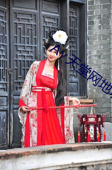 ∨天堂网地址