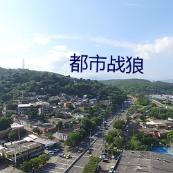 都市战狼