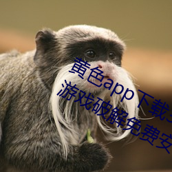 黄色app下载3.0.3每天无限次vivo版游戏破解免费安卓ios提 （摘抄）