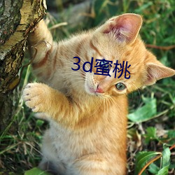 3d蜜桃 （发言盈庭）