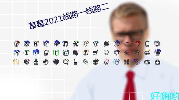 草莓2021线路一线路二 （保险）