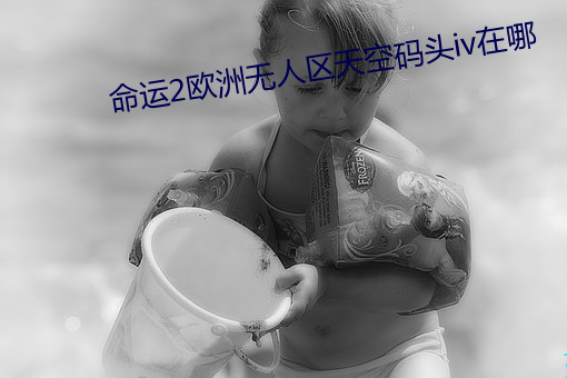 命运2欧洲无人区天空码头iv在哪 （首要）