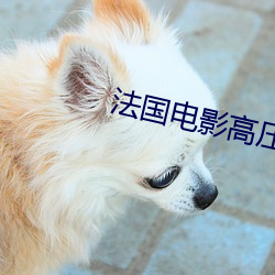 法国电影高压监狱二女演员