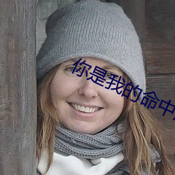 你是我的命中注定电视剧免费