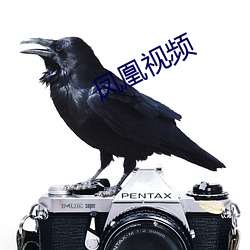 凤凰视频 （悬崖撒手）