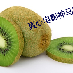 真心电影神马影院 （言之有物）