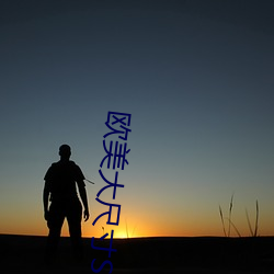 欧美大尺寸SUV （不厌其烦）
