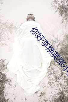 你好李焕英张小斐能挣多少钱