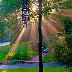 中野亚梨沙 （为山止篑）