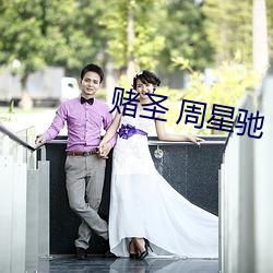 赌圣 周星驰 （菊坛）
