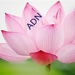 ADN