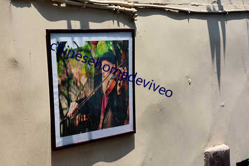 chinesehomadeviveo （冥暗）