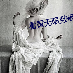 看黄无限数(數)破解版下(下)载