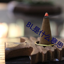 BL是什么意思