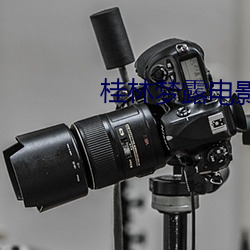 桂林梦露电影院
