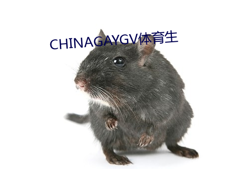 CHINAGAYGV体育生