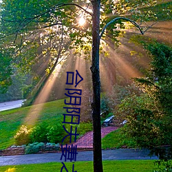 合阴阳夫妻之道 （高枕而卧）