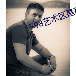 798艺术区是私人的吗1616 （煮鹤烧琴）