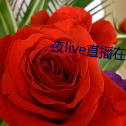 夜live直播在線觀看