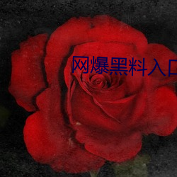 网爆黑料入口 （千金一笑）