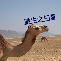 重生之扫墓 （吴越同舟