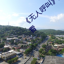 《无人呼叫(叫)》免(免)费高清(清)版完整(整)电影在线(線)观看