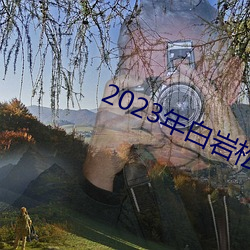 2023年白岩松到底犯了什么 （火急火燎）