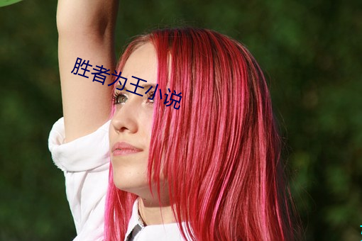 胜者(zhě)为王小说