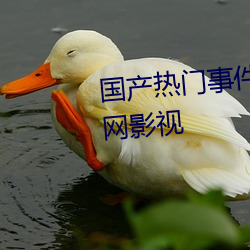 国产热门事件黑料吃瓜网涵盖全网影视 （蝇粪点玉）