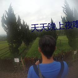天天晚上夜噜噜噜 （横冲直撞）
