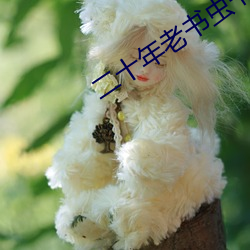 二十年(nián)老(lǎo)书虫书荒跪求高质量(liàng)小说