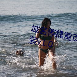 域名(míng)？黄页(yè)app应(yīng)用大全下载安装v1.0