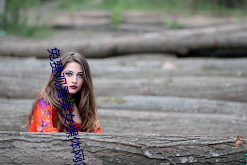免费观看美女裸体网站 （遗墨）