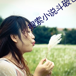搜索小说斗破苍穹
