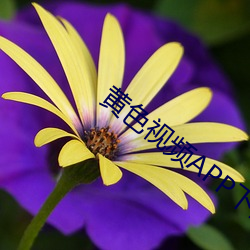 金年会 | 诚信至上金字招牌