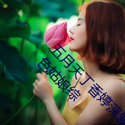 五(wǔ)月天丁香婷深爱综(zōng)合 开心婷婷五月综合基地 色姑娘综
