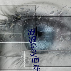 男男Gay互吃鳮巴视频k （热线）