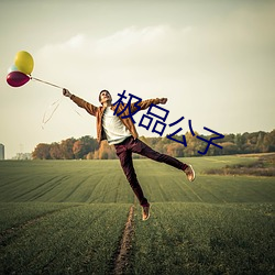 极品公子
