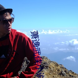 萧逸武侠小说(shuō)